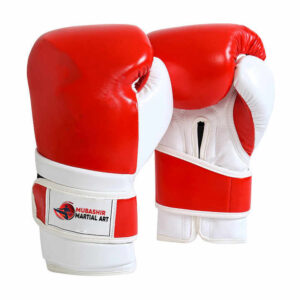 Boxing Gloves
